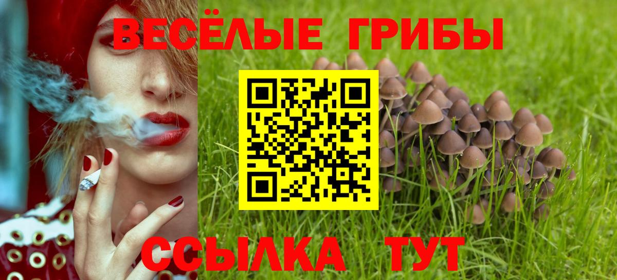 Псилоцибиновые грибы GOLDEN TEACHER Шебекино