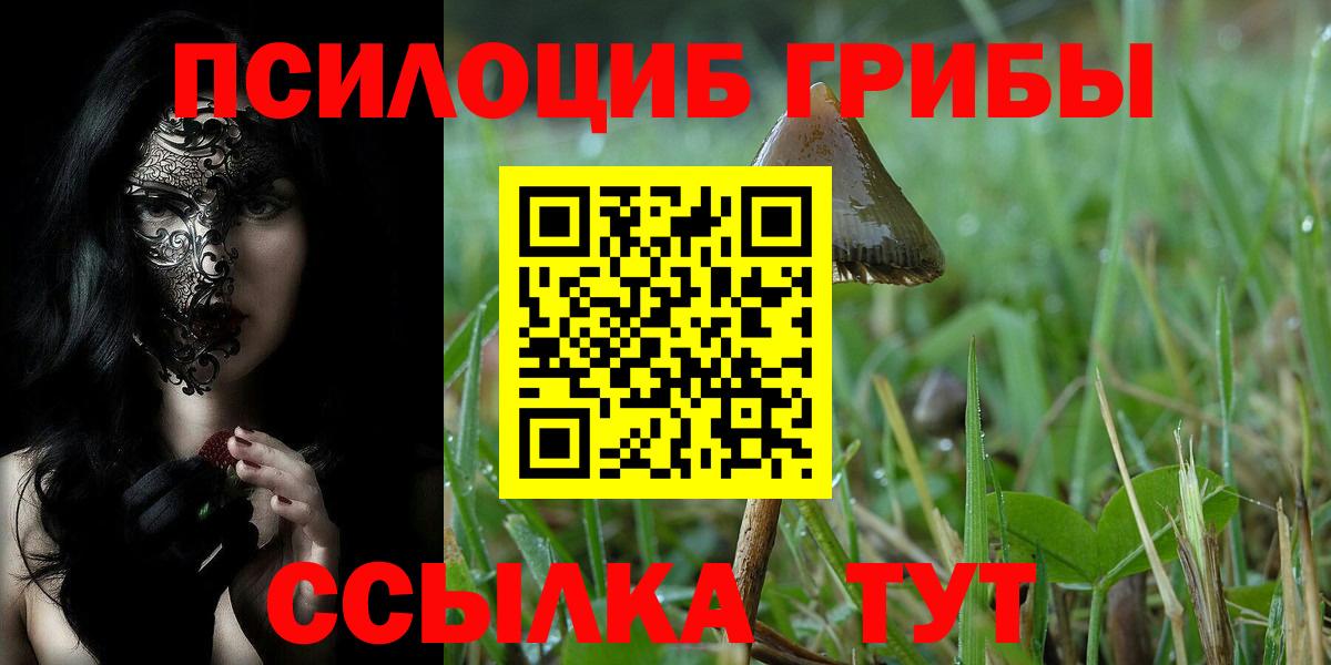 Галлюциногенные грибы MAGIC MUSHROOMS  Вход с VPN  даркнет сайт  Галлюциногенные грибы ЛСД  Шебекино 
