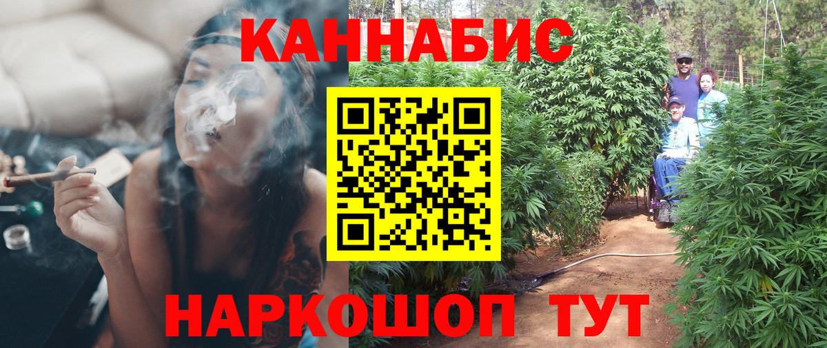 Бошки Шишки семена Шебекино
